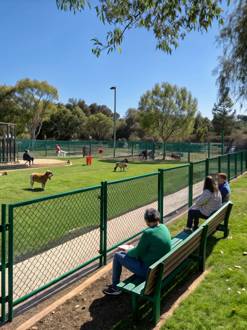 A wide shot of the Starlight Horizon pet-friendly area, showing dogs playing happily in a safe and enclosed space, emphasizing the retreat's welcoming attitude towards pets.