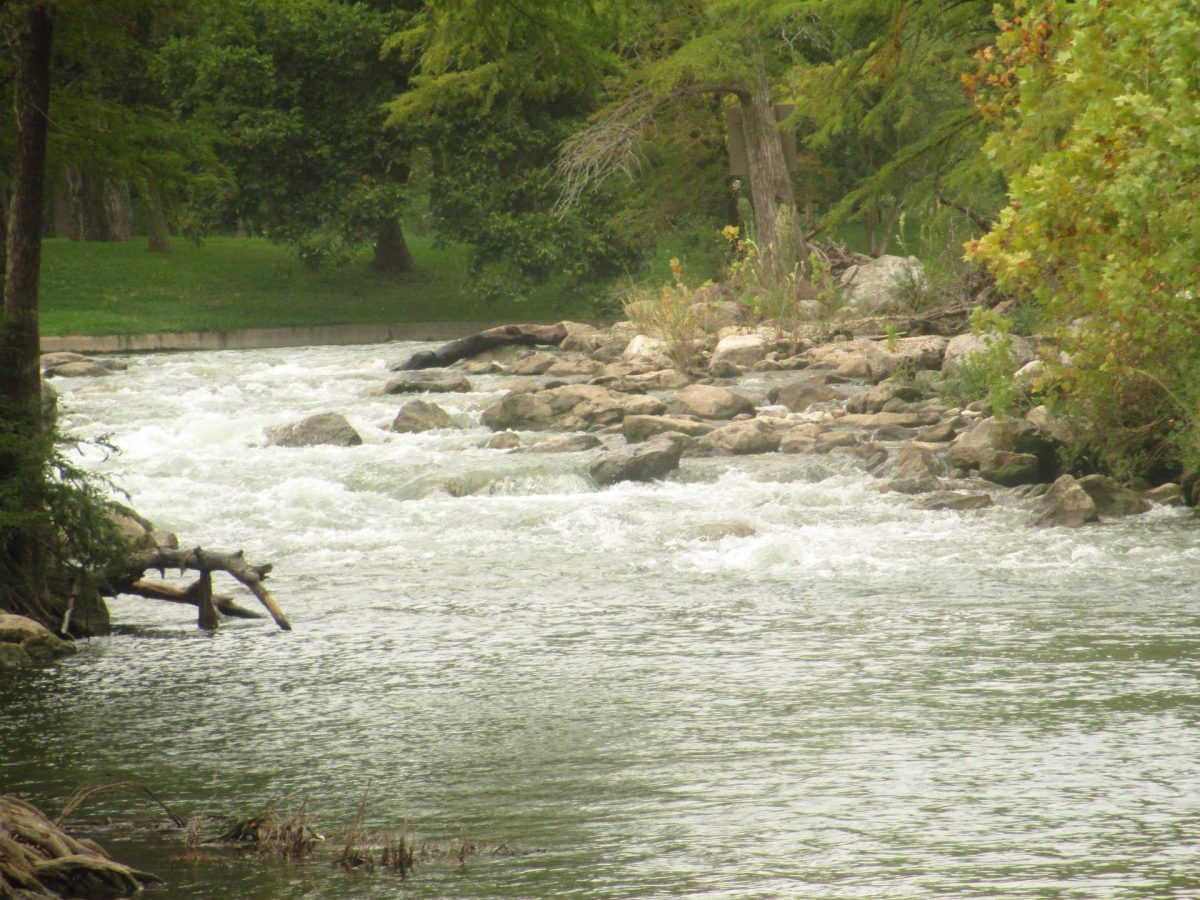 Clear water of the Guadalupe River flowing over streambed boulders near Gruene, Texas